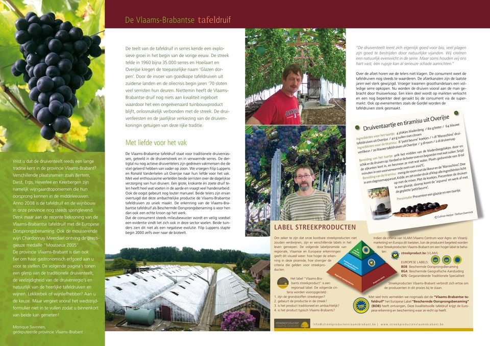 Anno 2008 is de tafeldruif en de wijnbouw in onze provincie nog steeds springlevend. Denk maar aan de recente bekroning van de Vlaams-Brabantse tafeldruif met de Europese Oorsprongsbenaming.
