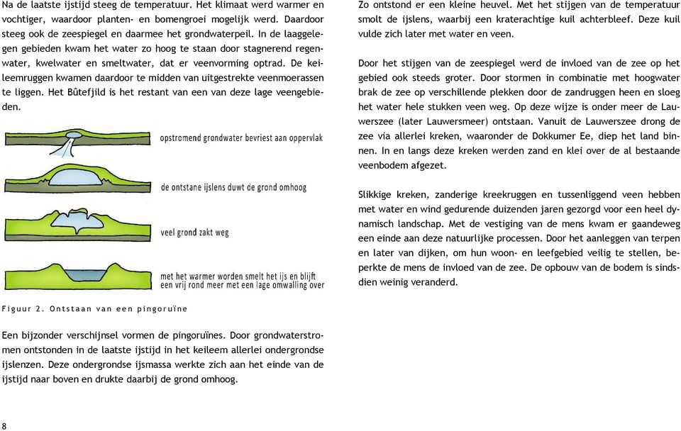 De keileemruggen kwamen daardoor te midden van uitgestrekte veenmoerassen te liggen. Het Bûtefjild is het restant van een van deze lage veengebieden. Zo ontstond er een kleine heuvel.