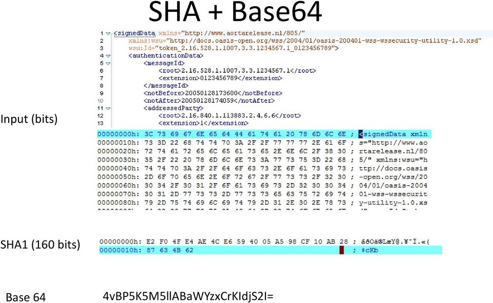 bits) Base 64