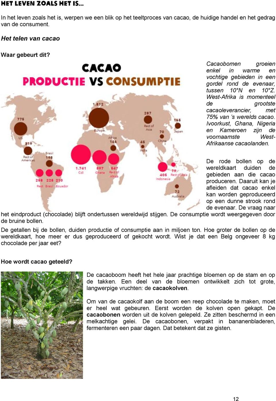 Ivoorkust, Ghana, Nigeria en Kameroen zijn de voornaamste West- Afrikaanse cacaolanden. De rode bollen op de wereldkaart duiden de gebieden aan die cacao produceren.