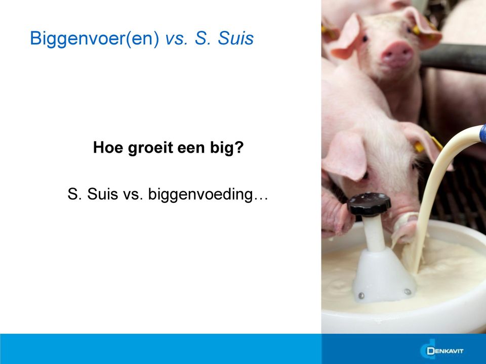 groeit een big? S.