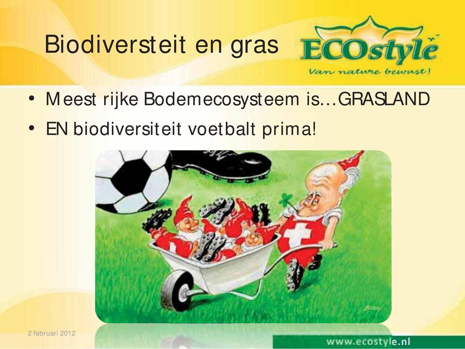 Bodemecosysteem is