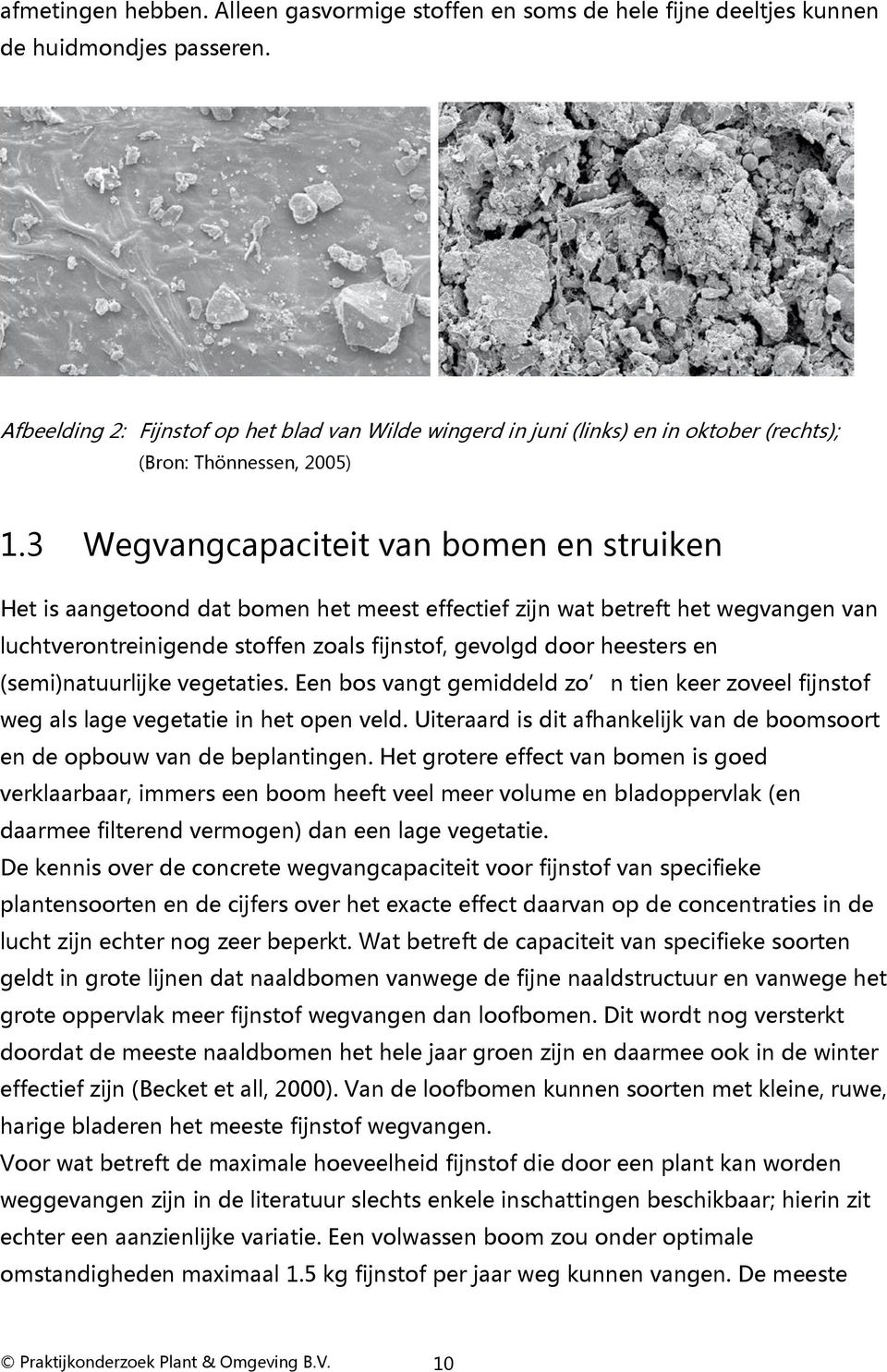 3 Wegvangcapaciteit van bomen en struiken Het is aangetoond dat bomen het meest effectief zijn wat betreft het wegvangen van luchtverontreinigende stoffen zoals fijnstof, gevolgd door heesters en