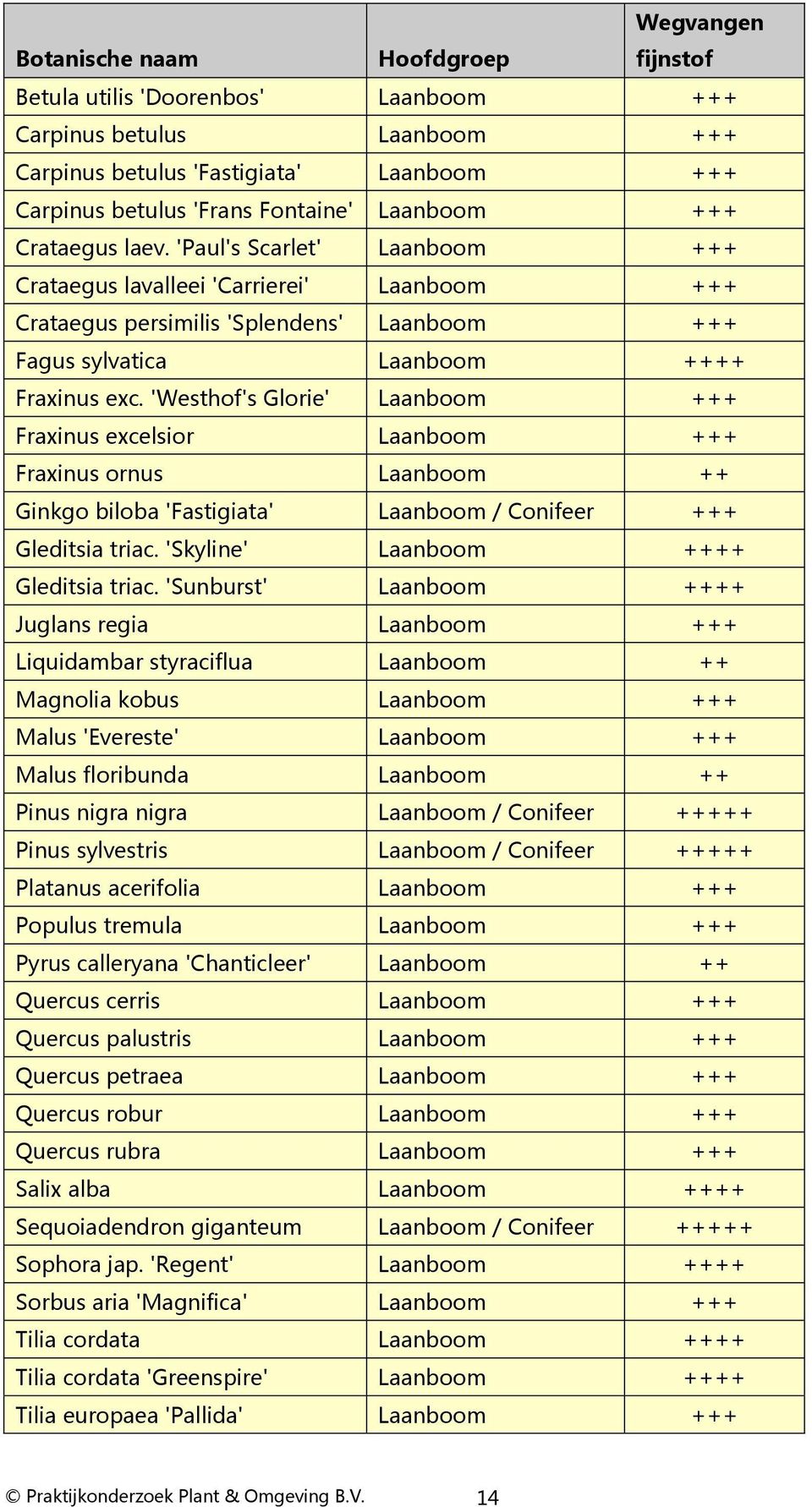 'Westhof's Glorie' Laanboom +++ Fraxinus excelsior Laanboom +++ Fraxinus ornus Laanboom ++ Ginkgo biloba 'Fastigiata' Laanboom / Conifeer +++ Gleditsia triac. 'Skyline' Laanboom ++++ Gleditsia triac.