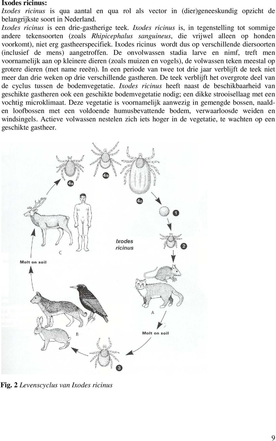 Ixodes ricinus wordt dus op verschillende diersoorten (inclusief de mens) aangetroffen.
