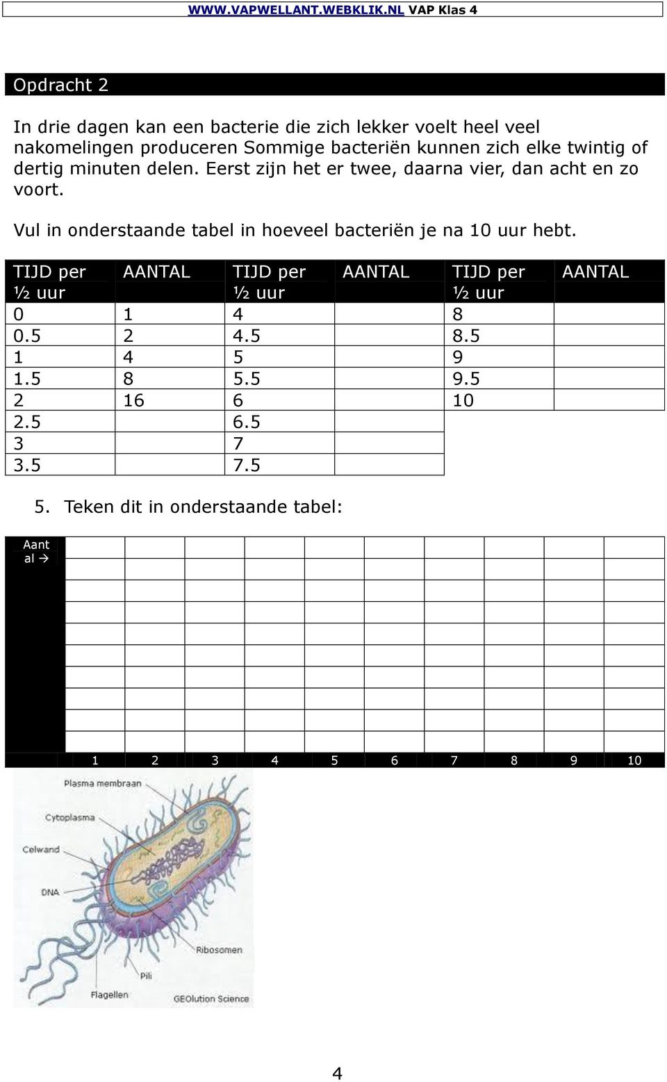 Vul in onderstaande tabel in hoeveel bacteriën je na 10 uur hebt.