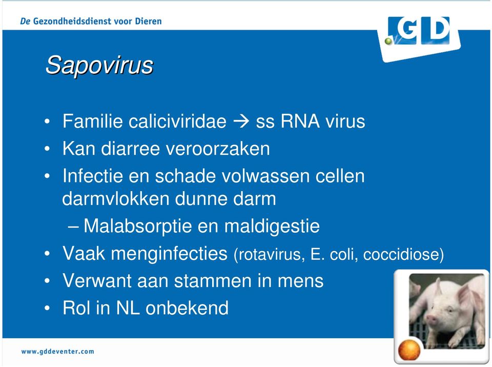 dunne darm Malabsorptie en maldigestie Vaak menginfecties