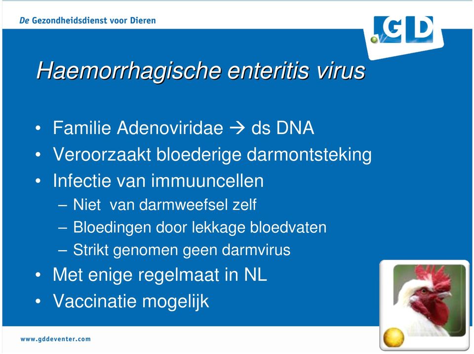 Niet van darmweefsel zelf Bloedingen door lekkage bloedvaten