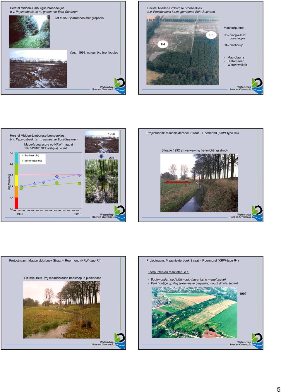 gemeente Echt-Susteren Tot 1995: Sparrenbos met greppels  gemeente Echt-Susteren R4 R3 Monsterpunten R3= droogvallend bovenloopje R4= bronbeekje Vanaf 1996: natuurlijke bronloopjes - Macrofauna -