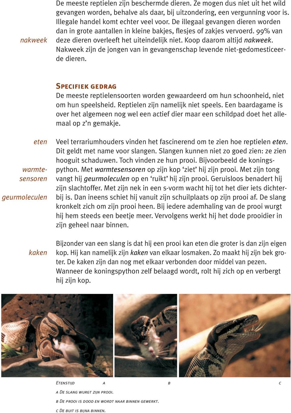 Nakweek zijn de jongen van in gevangenschap levende niet-gedomesticeerde dieren. Specifiek gedrag De meeste reptielensoorten worden gewaardeerd om hun schoonheid, niet om hun speelsheid.