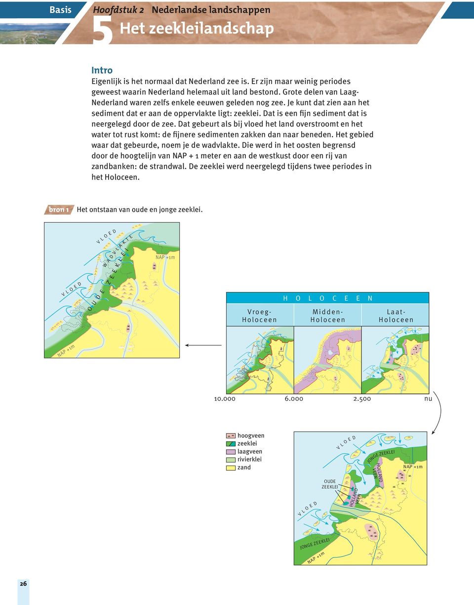 Dat is een fijn sediment dat is neergelegd door de zee. Dat gebeurt als bij vloed het land overstroomt en het water tot rust komt: de fijnere sedimenten zakken dan naar beneden.