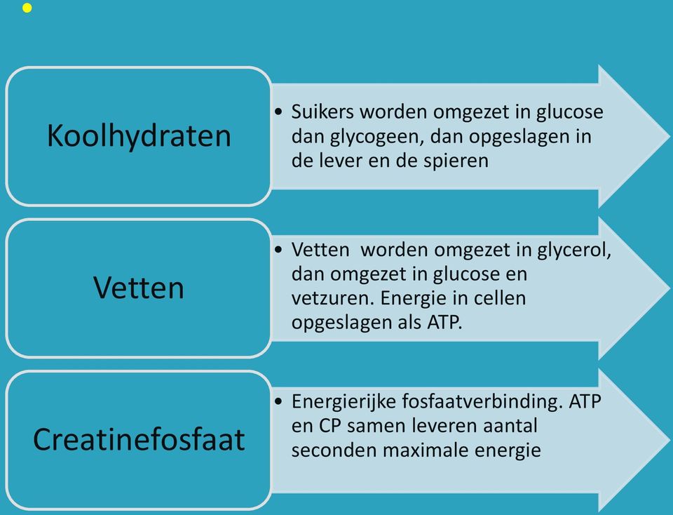 glucose en vetzuren. Energie in cellen opgeslagen als ATP.