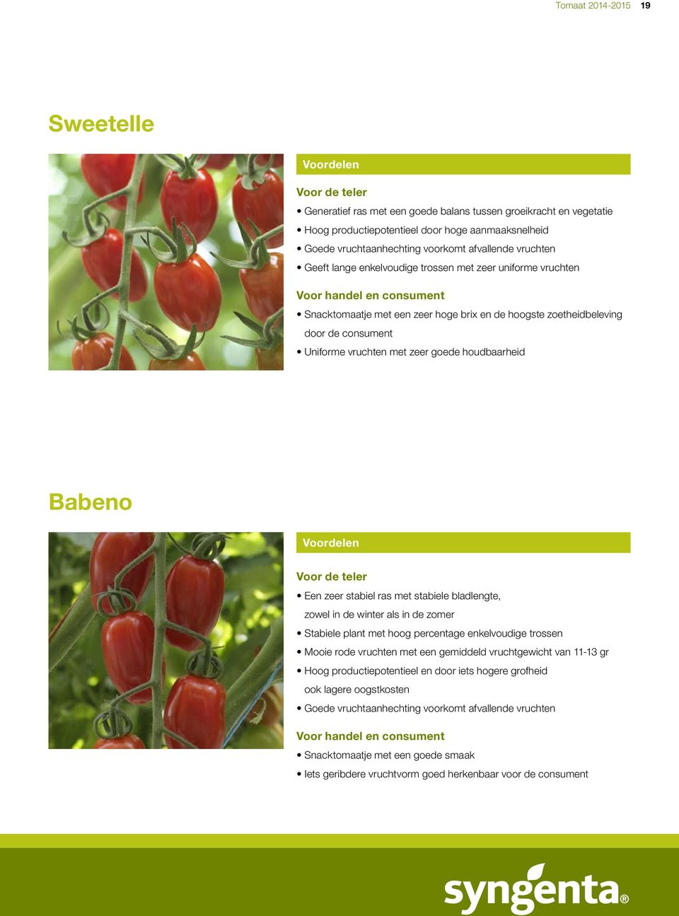 houdbaarheid Babeno Een zeer stabiel ras met stabiele bladlengte, zowel in de winter als in de zomer Stabiele plant met hoog percentage enkelvoudige trossen Mooie rode vruchten met een gemiddeld