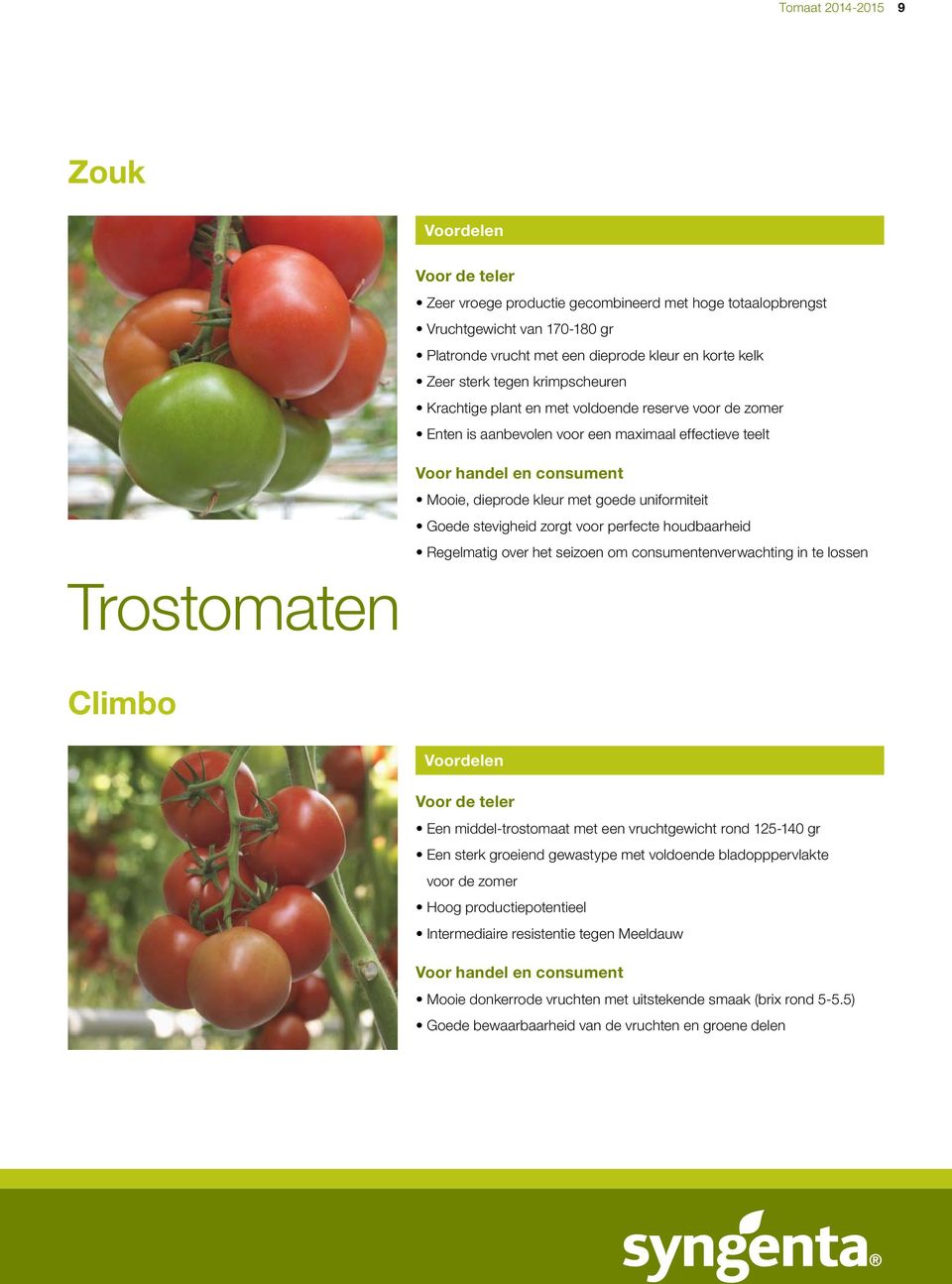 houdbaarheid Regelmatig over het seizoen om consumentenverwachting in te lossen Trostomaten Climbo Een middel-trostomaat met een vruchtgewicht rond 125-140 gr Een sterk groeiend gewastype met