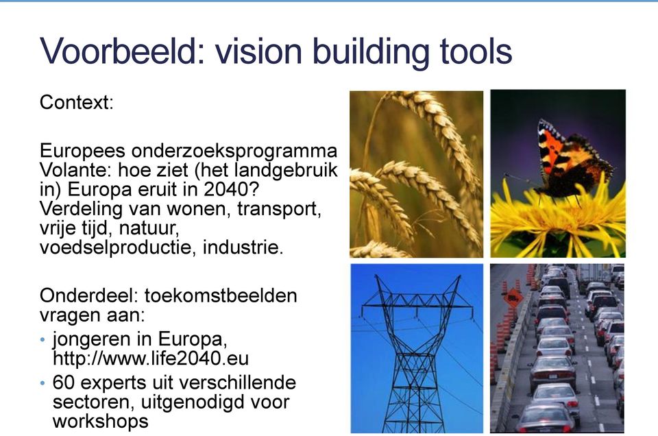 Verdeling van wonen, transport, vrije tijd, natuur, voedselproductie, industrie.