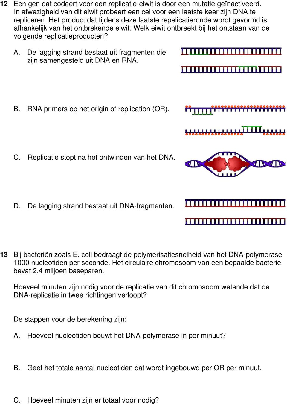 De lagging strand bestaat uit fragmenten die zijn samengesteld uit DNA en RNA. B. RNA primers op het origin of replication (OR). C. Replicatie stopt na het ontwinden van het DNA. D. De lagging strand bestaat uit DNA-fragmenten.