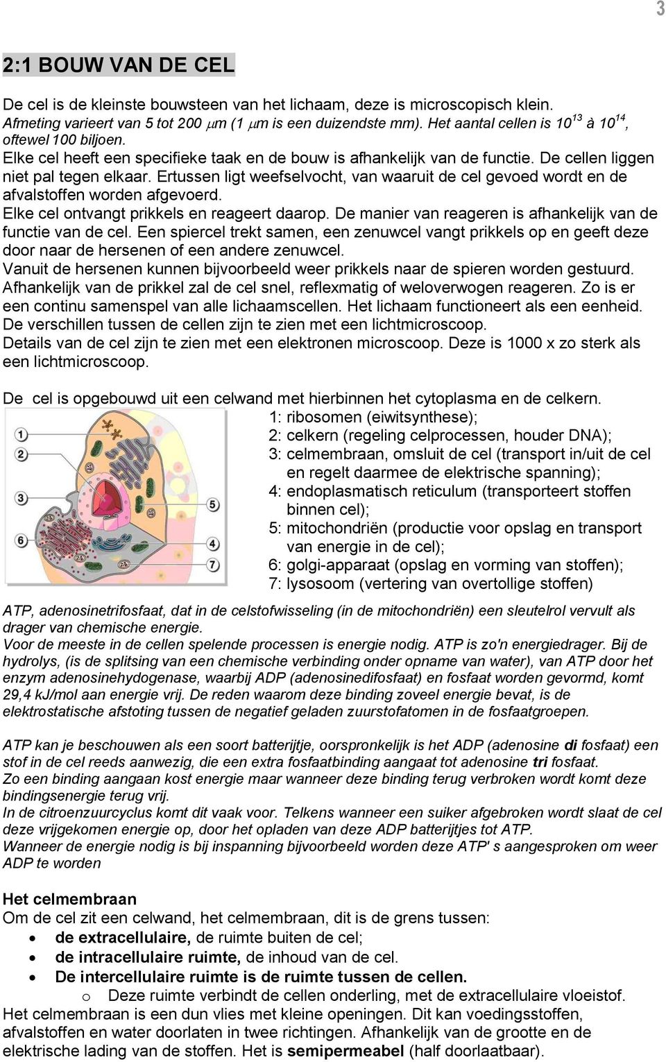 Ertussen ligt weefselvocht, van waaruit de cel gevoed wordt en de afvalstoffen worden afgevoerd. Elke cel ontvangt prikkels en reageert daarop.