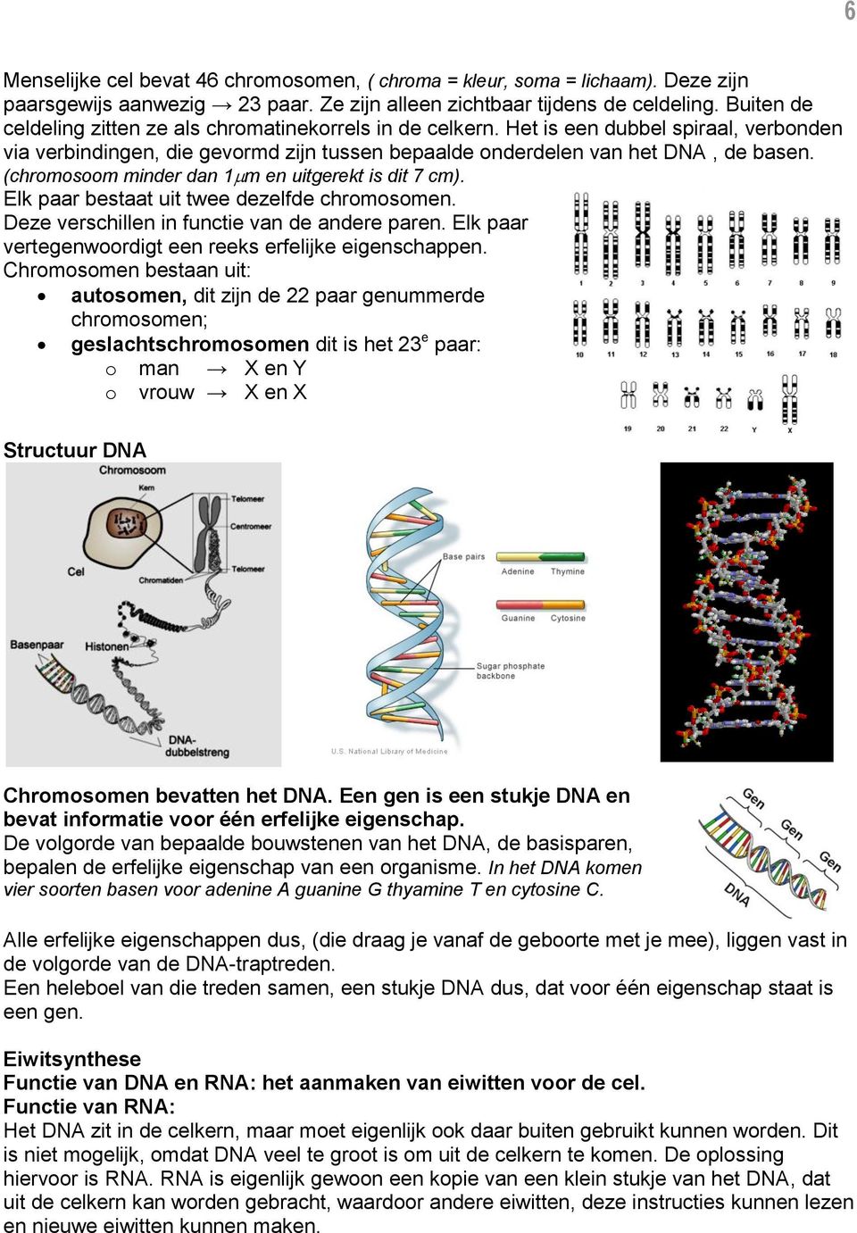 (chromosoom minder dan 1m en uitgerekt is dit 7 cm). Elk paar bestaat uit twee dezelfde chromosomen. Deze verschillen in functie van de andere paren.