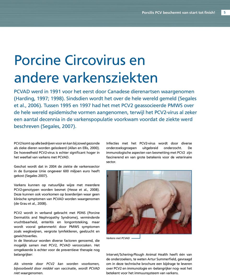 Tussen 1995 en 1997 had het met PCV geassocieerde PMWS over de hele wereld epidemische vormen aangenomen, terwijl het PCV-virus al zeker een aantal decennia in de varkenspopulatie voorkwam voordat de