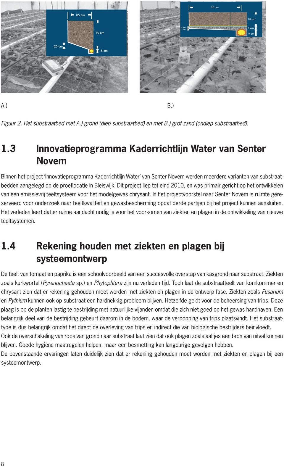 3 Innovatieprogramma Kaderrichtlijn Water van Senter Novem Binnen het project Innovatieprogramma Kaderrichtlijn Water van Senter Novem werden meerdere varianten van substraatbedden aangelegd op de