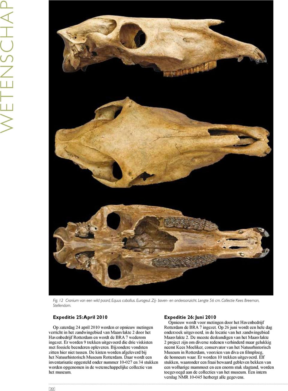 Er worden 9 trekken uitgevoerd die drie viskisten met fossiele beenderen opleveren. Bijzondere vondsten zitten hier niet tussen. De kisten worden afgeleverd bij het Natuurhistorisch Museum Rotterdam.