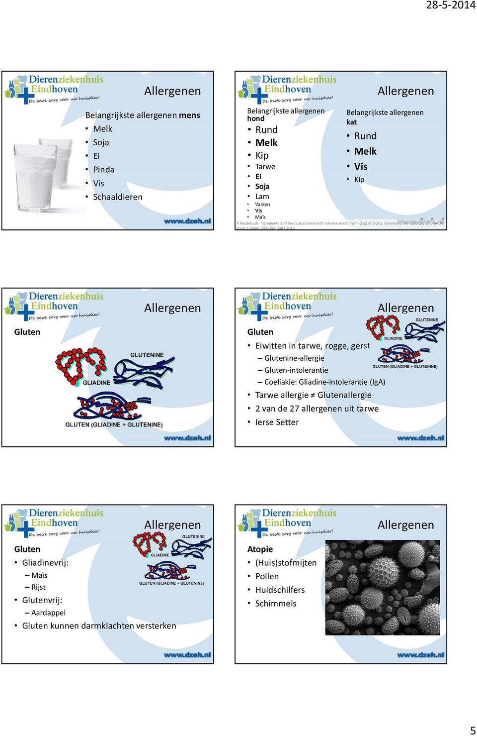 Veterinary Dermatology Volume 24, Issue 2, pages 293 294, April 2013 Gluten Gluten Eiwitten in tarwe, rogge, gerst Glutenine-allergie Gluten-intolerantie Coeliakie: