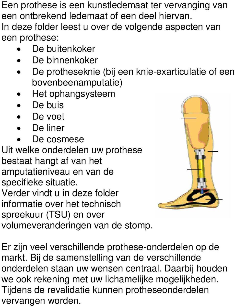 voet De liner De cosmese Uit welke onderdelen uw prothese bestaat hangt af van het amputatieniveau en van de specifieke situatie.