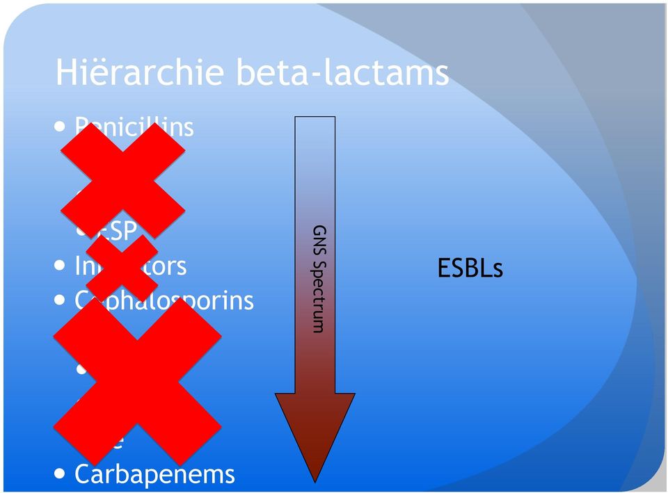 Inhibitors Cephalosporins 1e