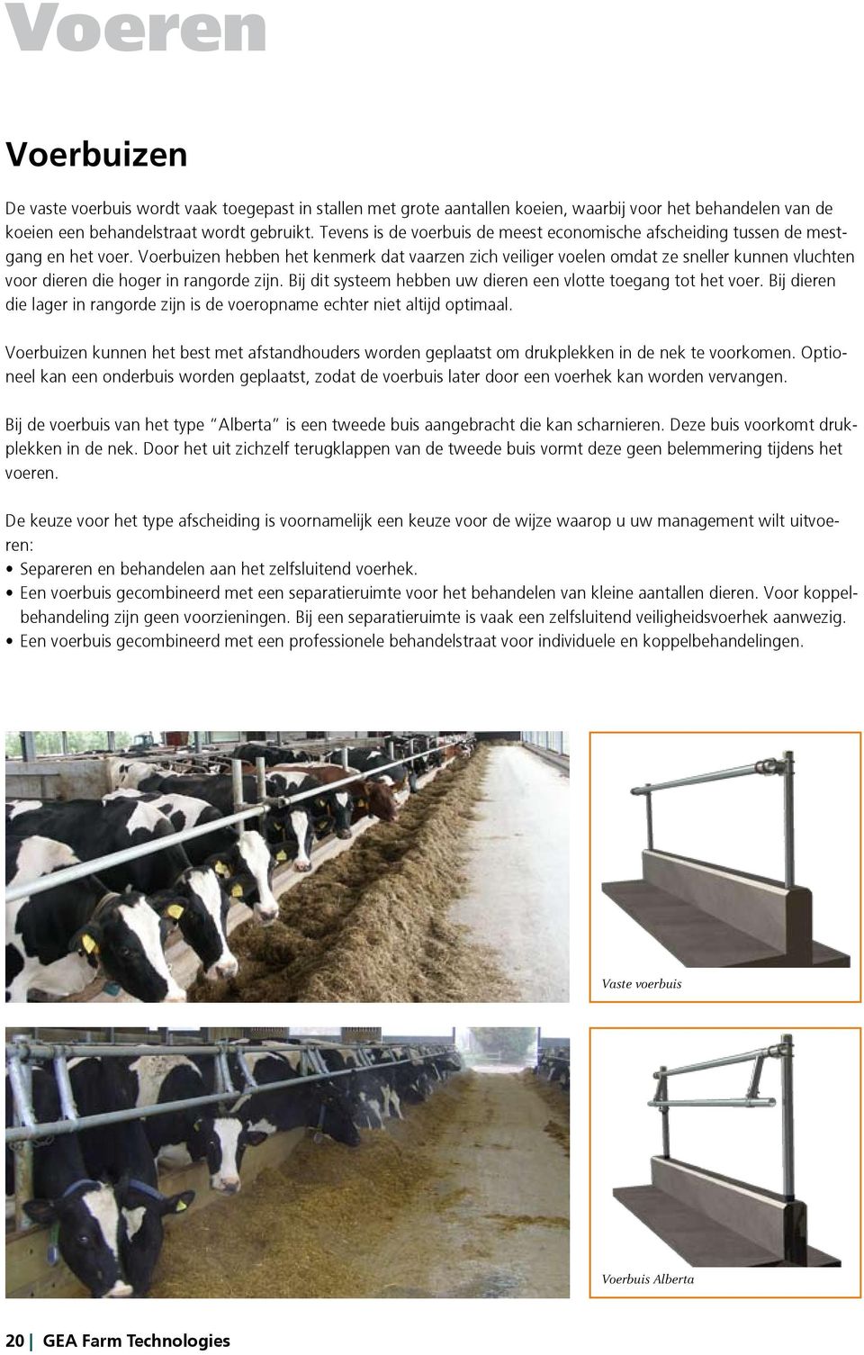 Voerbuizen hebben het kenmerk dat vaarzen zich veiliger voelen omdat ze sneller kunnen vluchten voor dieren die hoger in rangorde zijn.