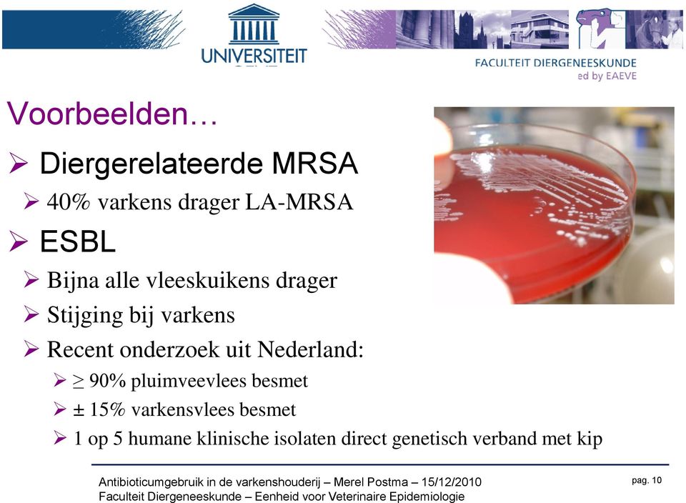 uit Nederland: 90% pluimveevlees besmet ± 15% varkensvlees besmet 1