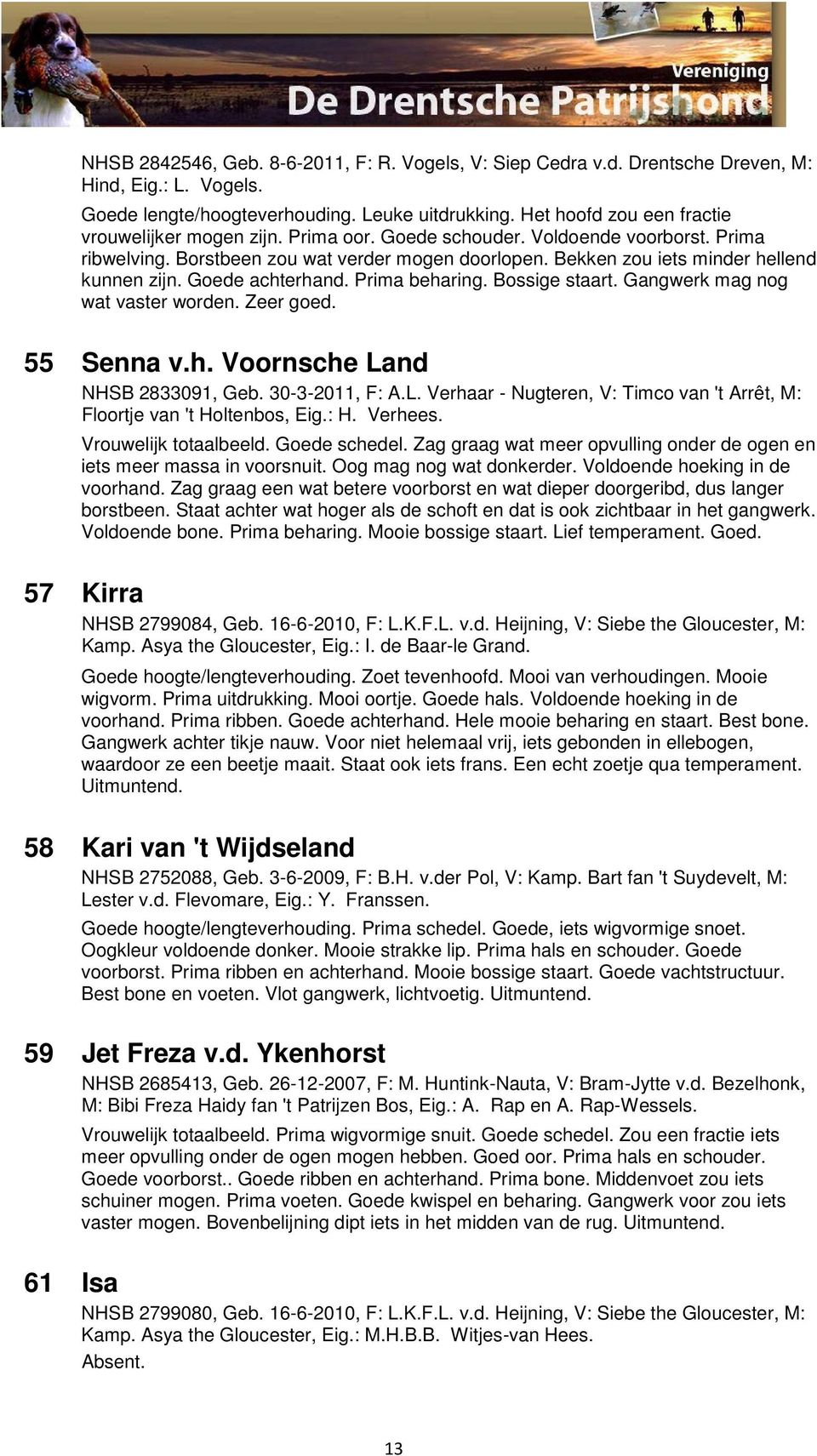 Bekken zou iets minder hellend kunnen zijn. Goede achterhand. Prima beharing. Bossige staart. Gangwerk mag nog wat vaster worden. Zeer goed. 55 Senna v.h. Voornsche Land NHSB 2833091, Geb.