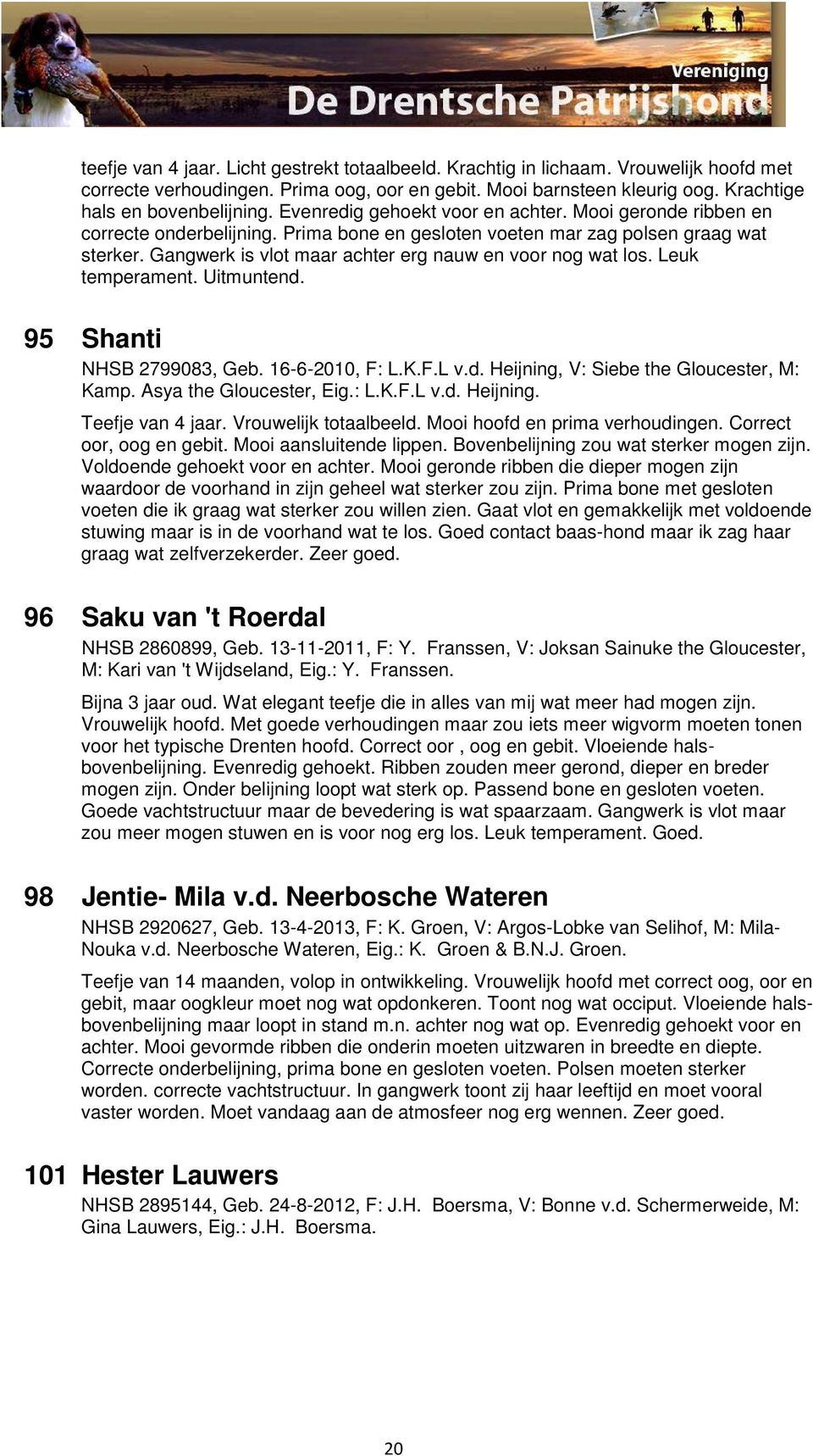 Gangwerk is vlot maar achter erg nauw en voor nog wat los. Leuk temperament. Uitmuntend. 95 Shanti NHSB 2799083, Geb. 16-6-2010, F: L.K.F.L v.d. Heijning, V: Siebe the Gloucester, M: Kamp.