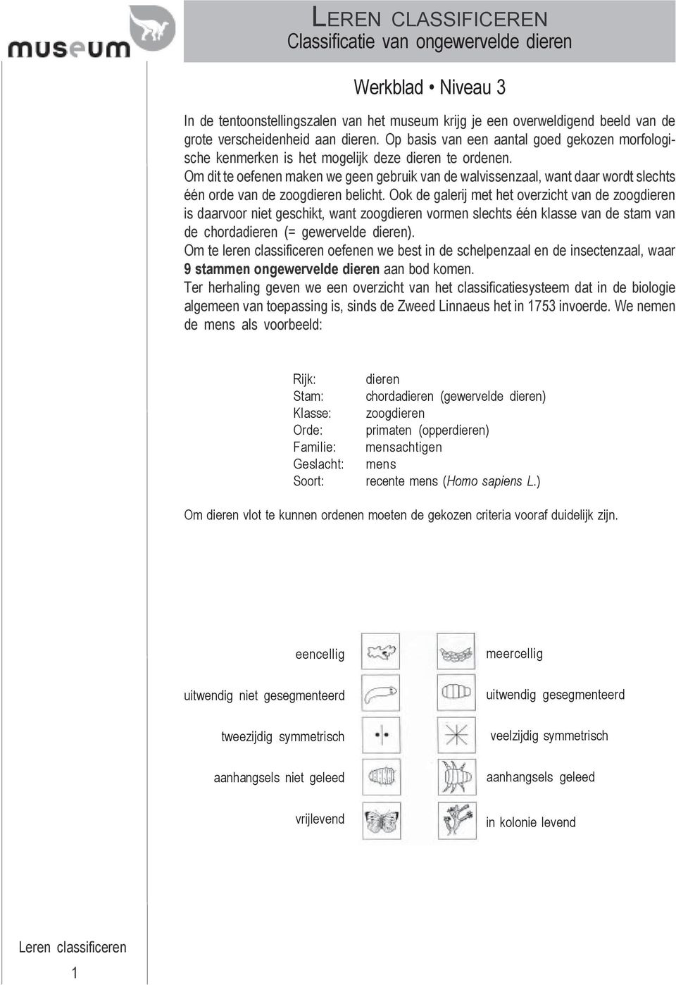 Om dit te oefenen maken we geen gebruik van de walvissenzaal, want daar wordt slechts één orde van de zoogdieren belicht.