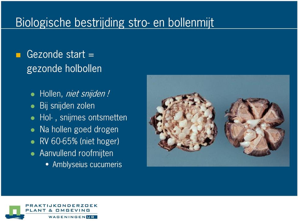 Bij snijden zolen Hol-, snijmes ontsmetten Na hollen goed