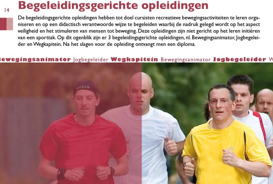 Deze opleidingen zijn niet gericht op het leren initiëren van een sporttak. Op dit ogenblik zijn er 3 begeleidingsgerichte opleidingen, nl.