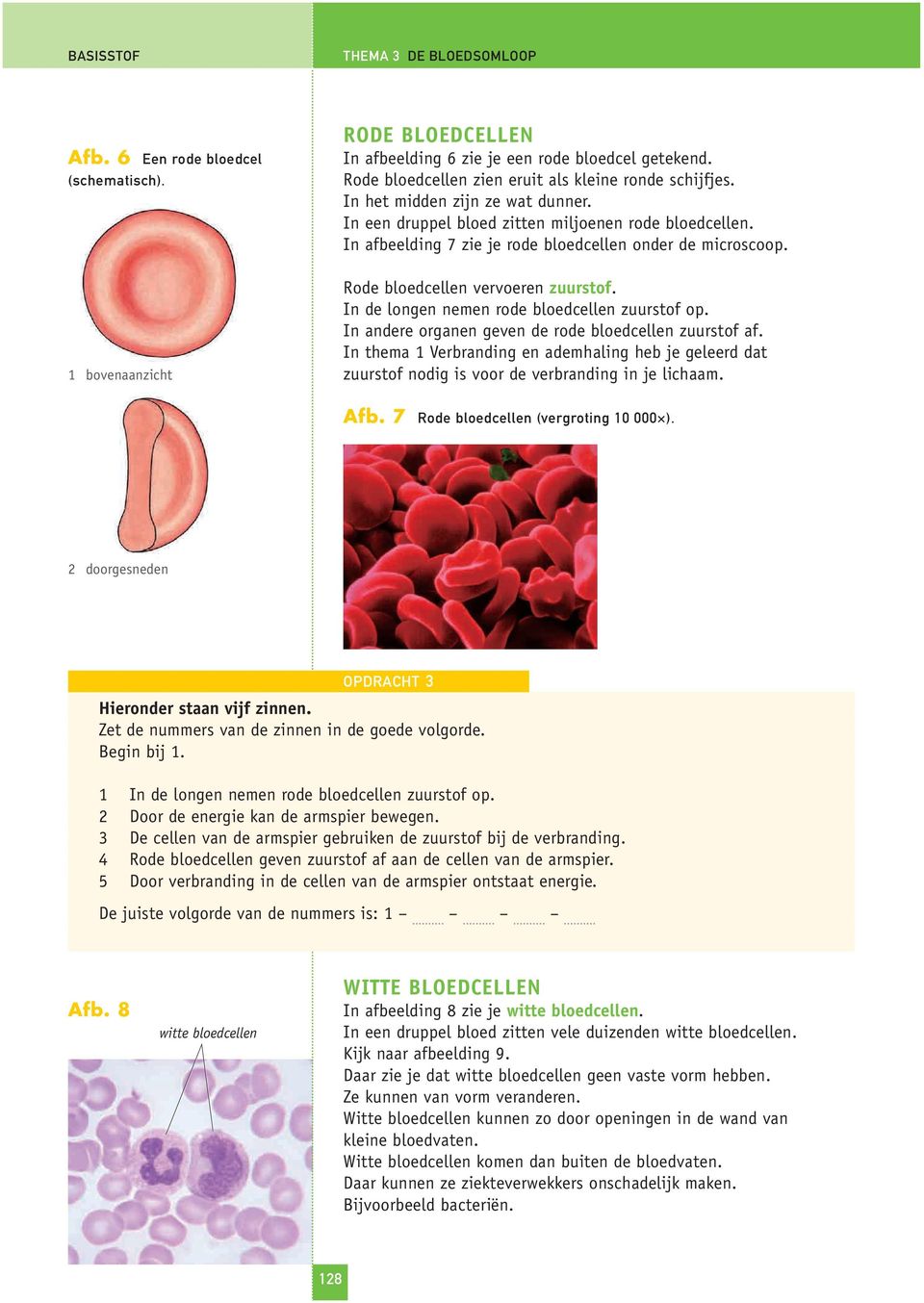 In afbeelding 7 zie je rode bloedcellen onder de microscoop. Rode bloedcellen vervoeren zuurstof. In de longen nemen rode bloedcellen zuurstof op.