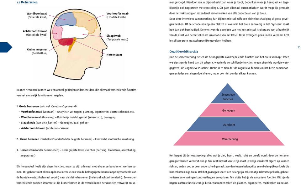 Zo worden verschillende soorten informatie die binnenkomen in de verschillende hersendelen verwerkt en samengevoegd.