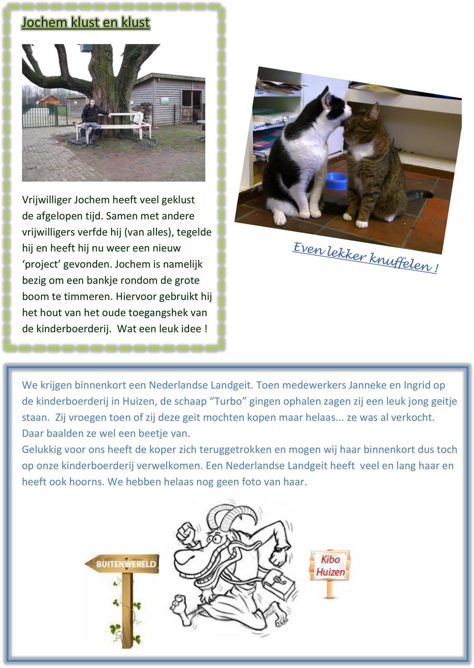 We krijgen binnenkort een Nederlandse Landgeit. Toen medewerkers Janneke en Ingrid op de kinderboerderij in Huizen, de schaap Turbo gingen ophalen zagen zij een leuk jong geitje staan.