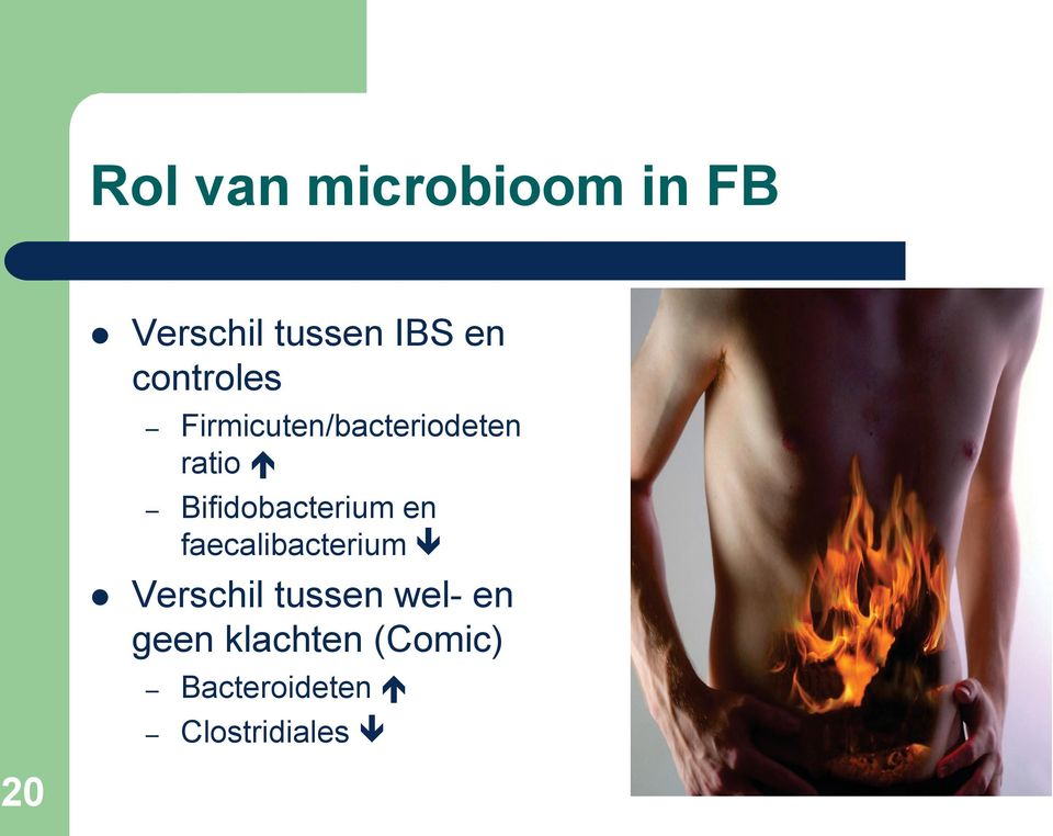 Bifidobacterium en faecalibacterium Verschil