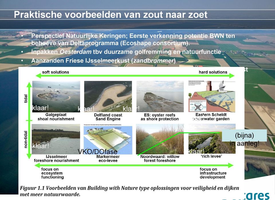 Inpakken Oesterdam tbv duurzame golfremming en natuurfunctie Aanzanden Friese IJsselmeerkust (zandbrommer) Technisch ontwerp