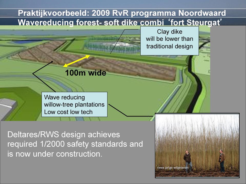 100m wide Wave reducing willow-tree plantations Low cost low tech