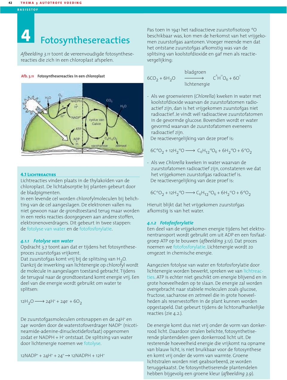 Vroeger meende men dat het ontstane zuurstofgas afkomstig was van de splitsing van koolstofdioxide en gaf men als reactievergelijking: Afb. 3.