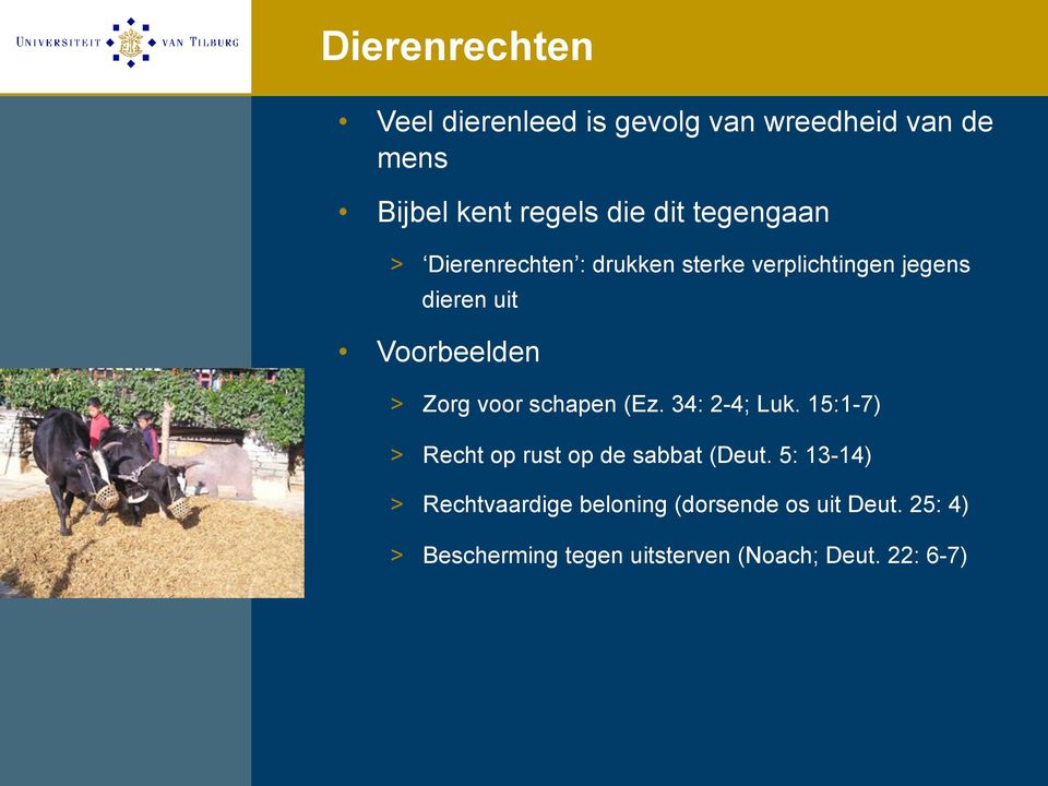 voor schapen (Ez. 34: 2-4; Luk. 15:1-7) > Recht op rust op de sabbat (Deut.