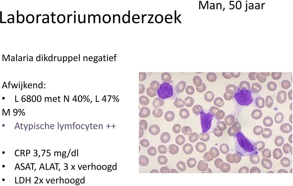 40%, L 47% M 9% Atypische lymfocyten ++ CRP