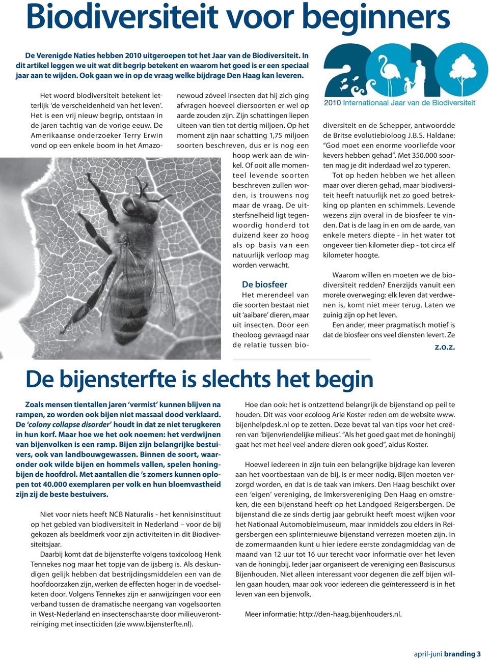 Het woord biodiversiteit betekent letterlijk de verscheidenheid van het leven. Het is een vrij nieuw begrip, ontstaan in de jaren tachtig van de vorige eeuw.