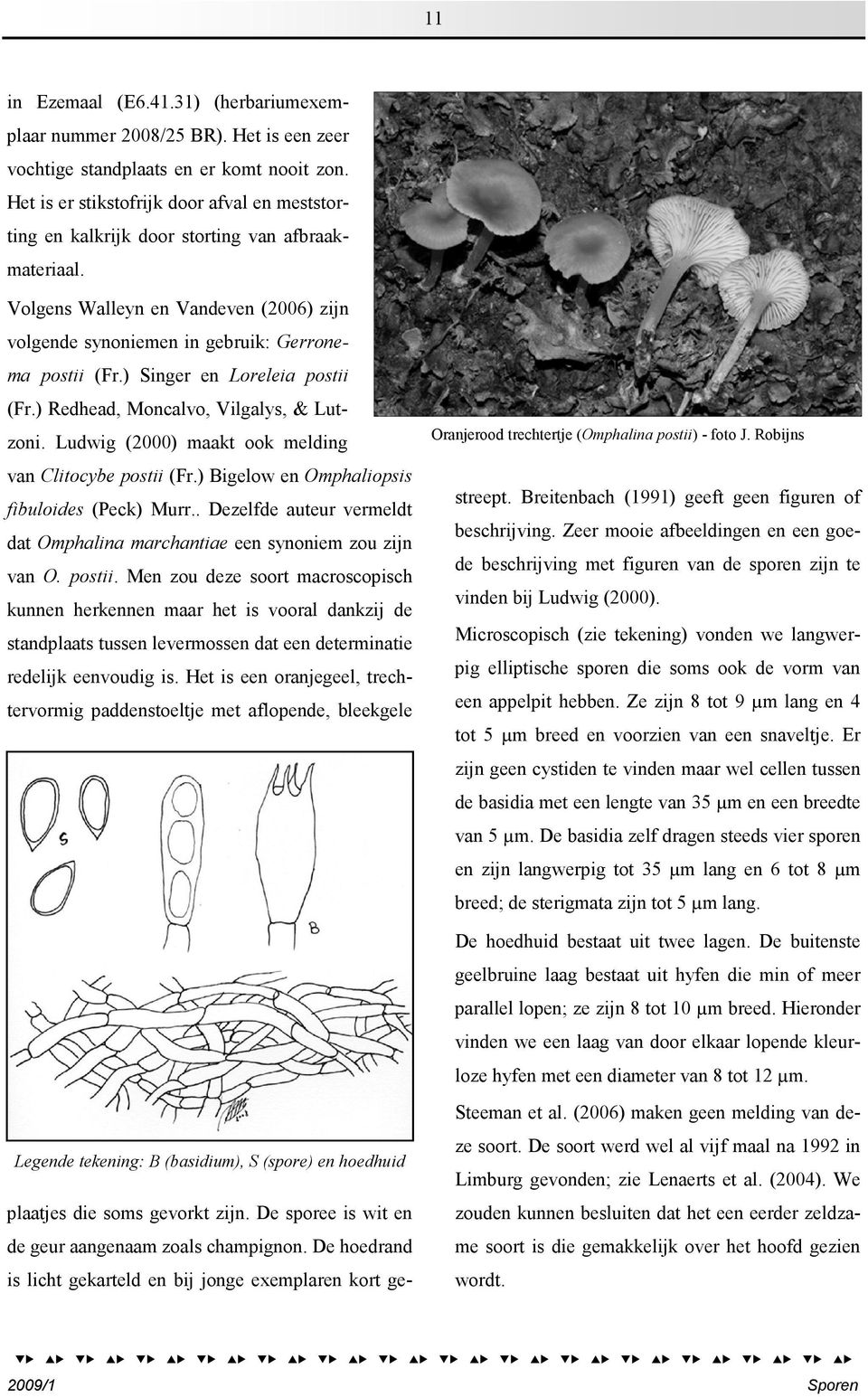 ) Singer en Loreleia postii (Fr.) Redhead, Moncalvo, Vilgalys, & Lutzoni. Ludwig (2000) maakt ook melding van Clitocybe postii (Fr.) Bigelow en Omphaliopsis fibuloides (Peck) Murr.
