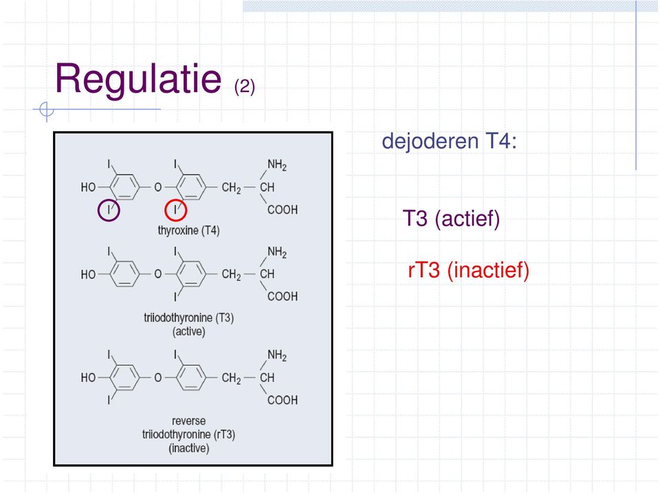 T3 (actief)