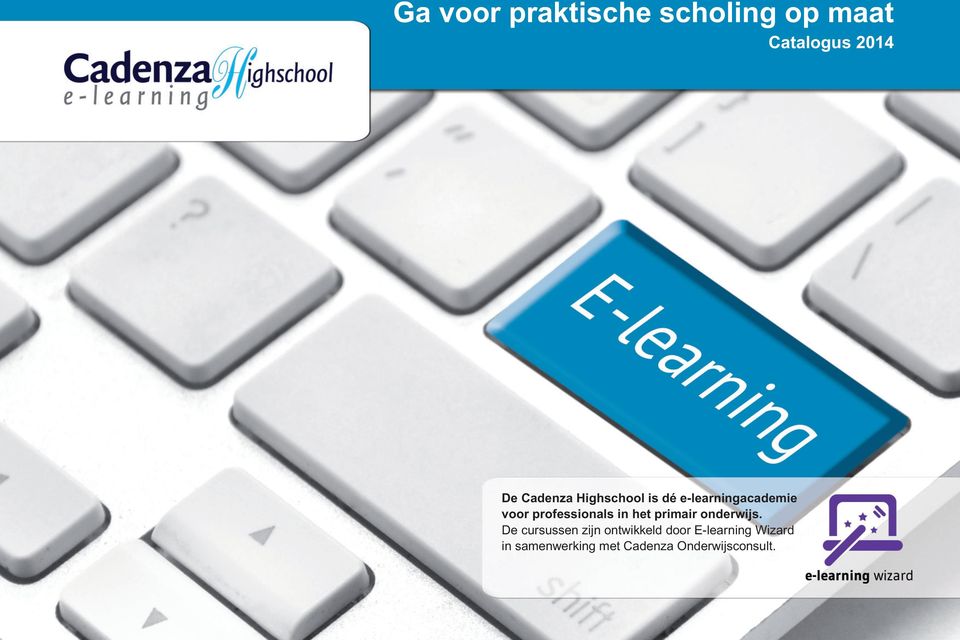 professionals in het primair onderwijs.