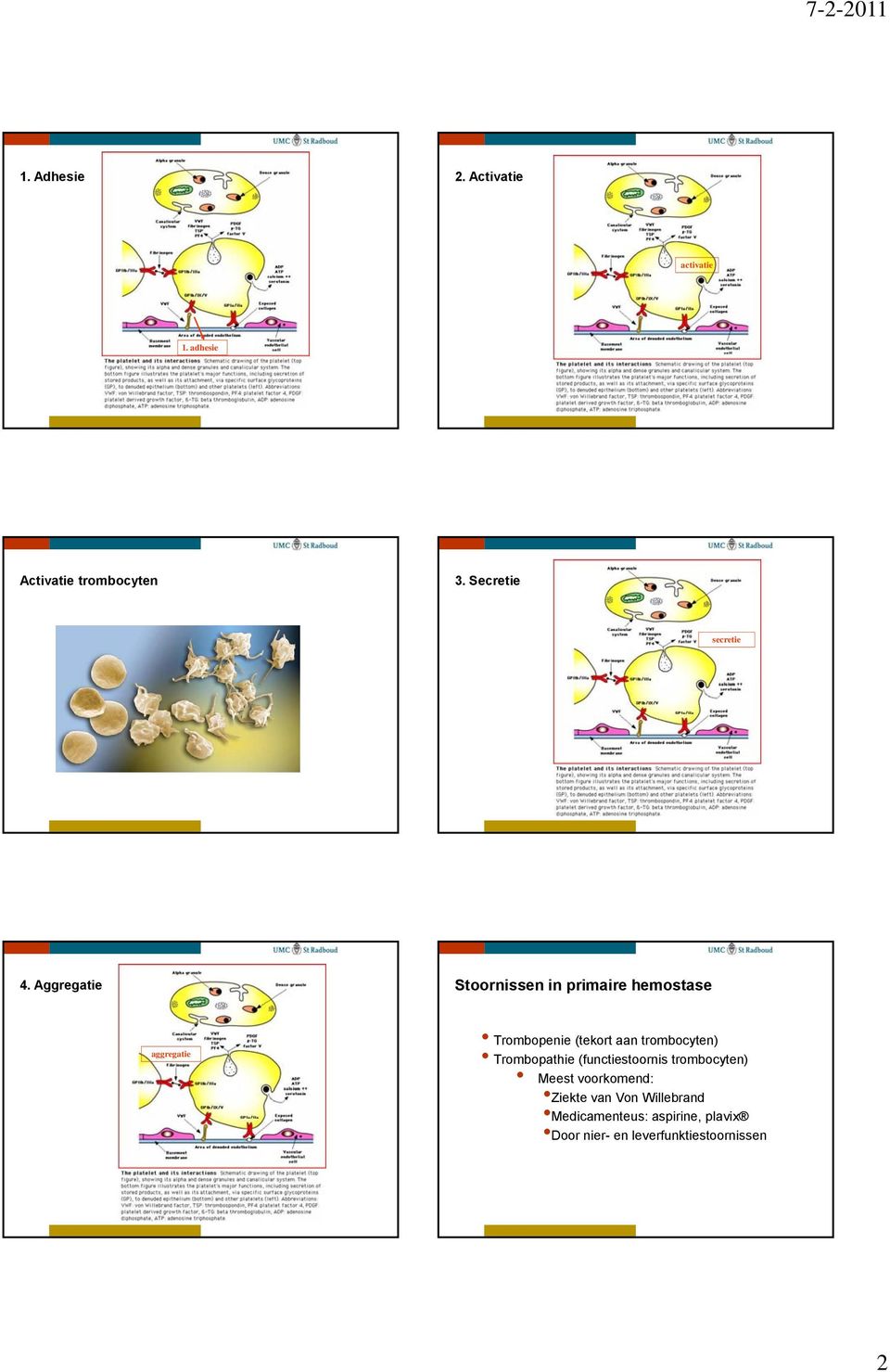 Aggregatie Stoornissen in primaire hemostase aggregatie Trombopenie (tekort aan