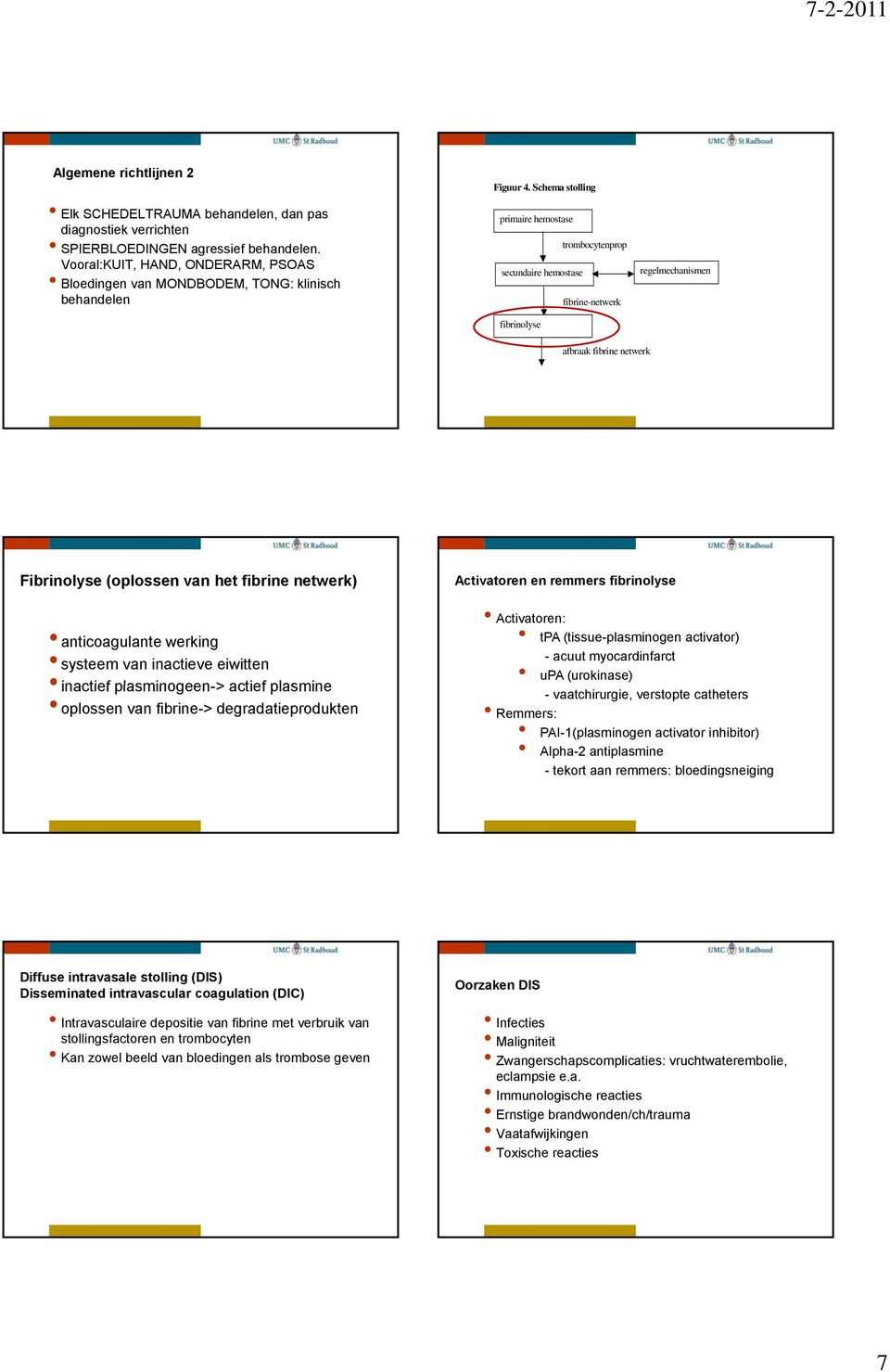 Schema stolling primaire hemostase trombocytenprop secundaire hemostase fibrine-netwerk fibrinolyse regelmechanismen afbraak fibrine netwerk Fibrinolyse (oplossen van het fibrine netwerk)